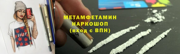 ПСИЛОЦИБИНОВЫЕ ГРИБЫ Осинники