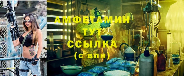 ПСИЛОЦИБИНОВЫЕ ГРИБЫ Осинники