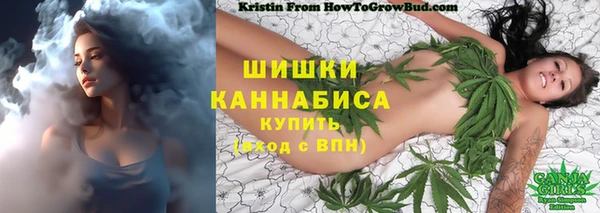 шишки Остров